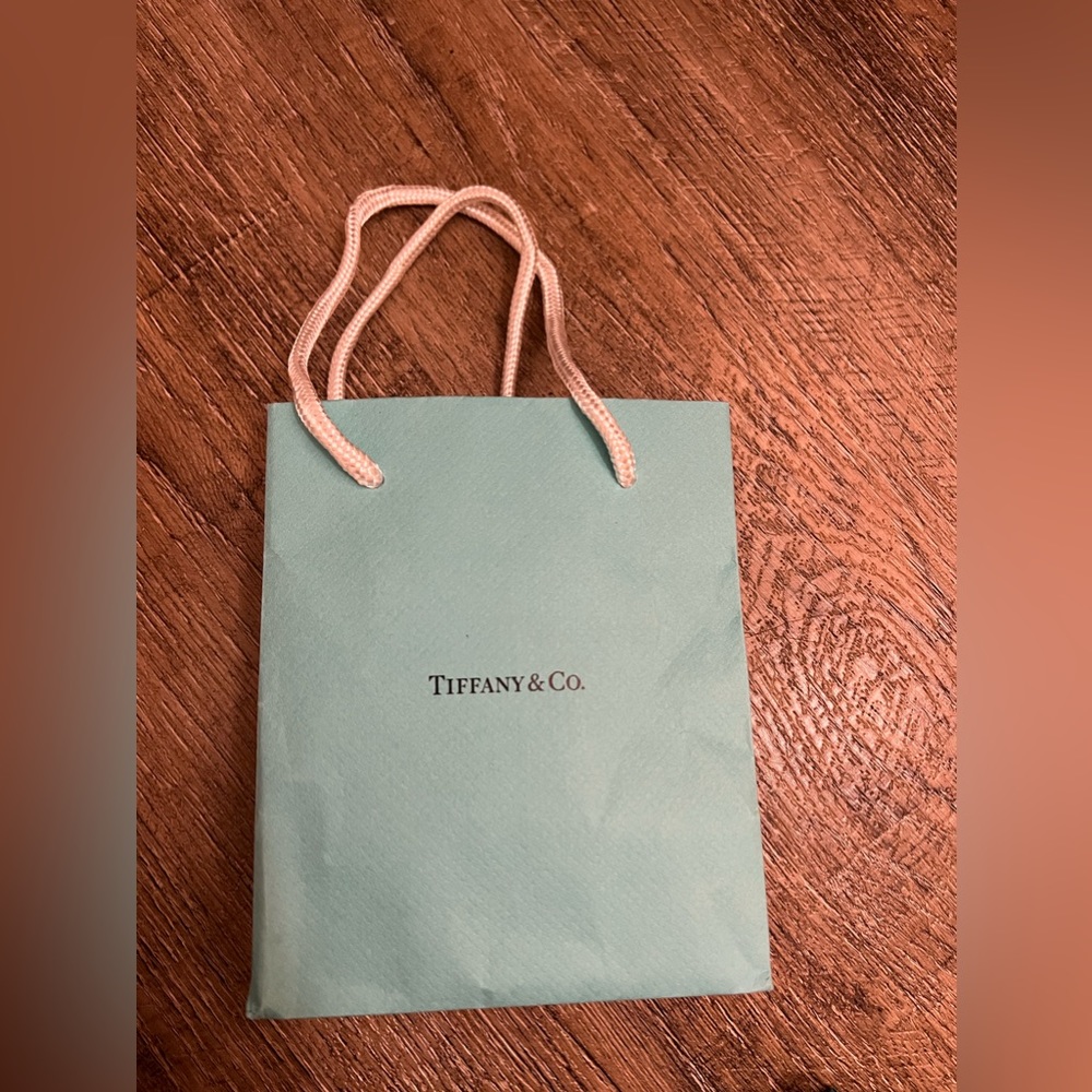 Tiffany & Co. Gift Bag #1***